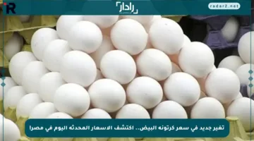 تغير جديد في سعر كرتونة البيض.. اكتشف الأسعار المحدثة اليوم في مصر!